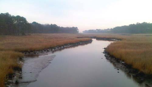 2010-12-rehoboth-0840