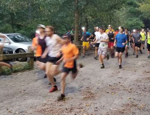 The Wanderers Fall 2022 Trail Series